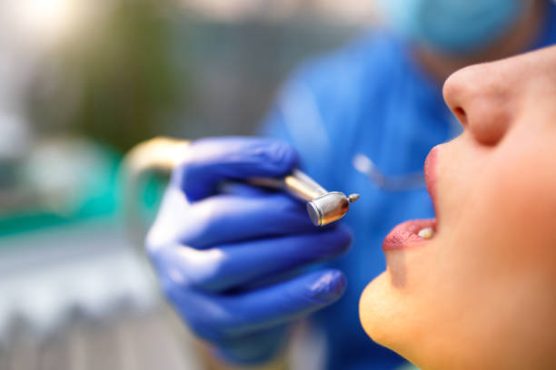  Toast, NC Dental Services Pros